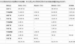 闻泰科技最新爆料信息网,揭秘芯片巨头最新动态与战略布局